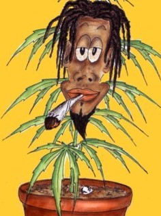 DE NOUVEAUX AGRICULTEURS...